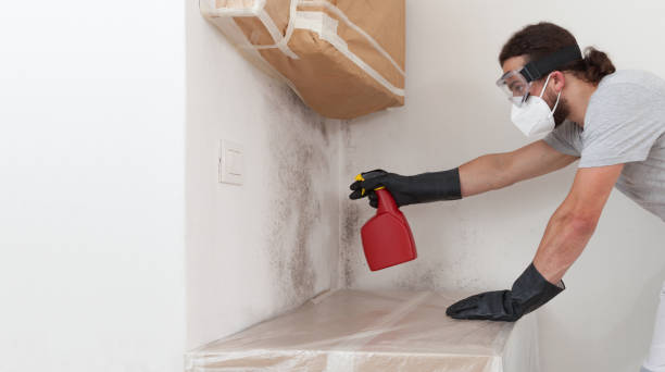 Professional Attic Mold Remediation technician working in Ashland, IL