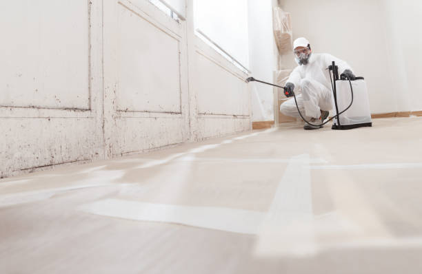 24/7 Emergency Attic Mold Remediation experts in Ashland, IL